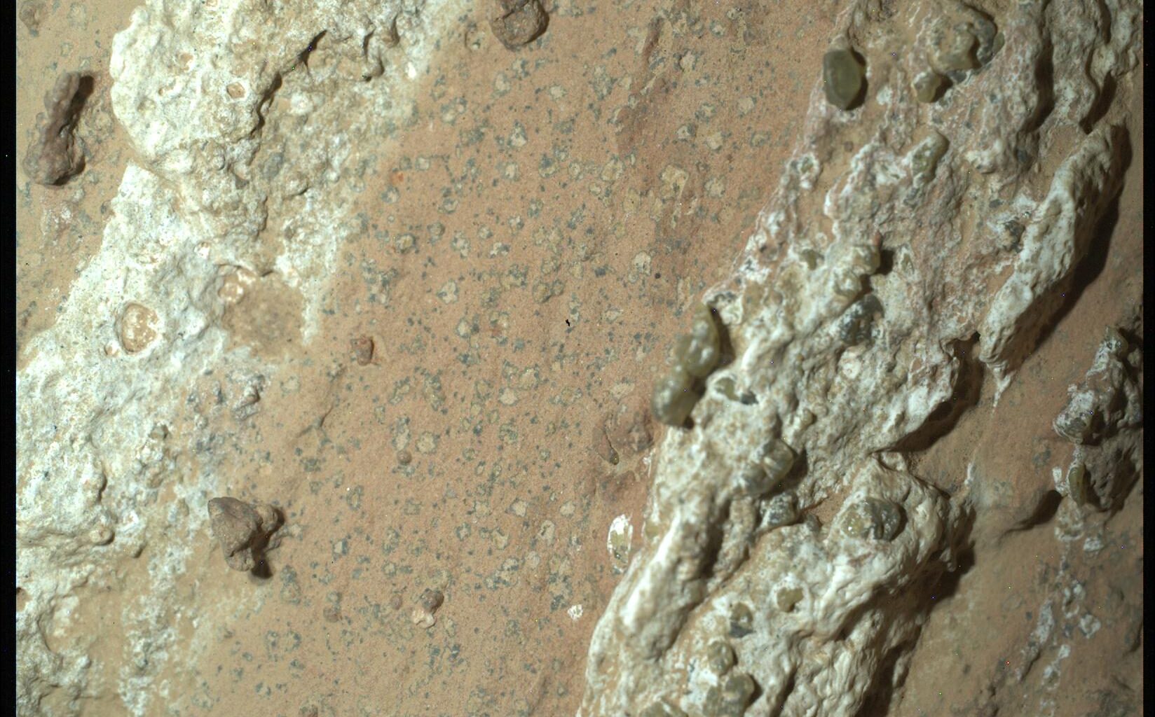 In an ancient Martian river channel, Perseverance drilled into a mudstone called Cheyava Falls and found tiny “leopard spot” minerals tangled with organic carbon — patterns that, on Earth, can be left behind when microbes consume organic matter, though scientists still can’t rule out non-living chemistry.