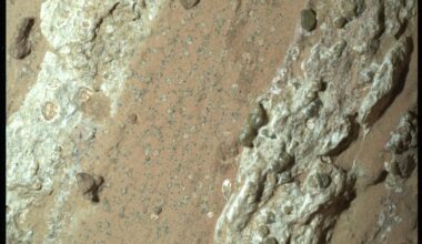 In an ancient Martian river channel, Perseverance drilled into a mudstone called Cheyava Falls and found tiny “leopard spot” minerals tangled with organic carbon — patterns that, on Earth, can be left behind when microbes consume organic matter, though scientists still can’t rule out non-living chemistry.