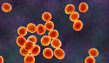 Treating staphylococcal bloodstream infections | McGill University Health Centre