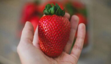 strawberry strawberries clarkson mississauga festival