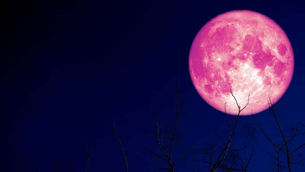 Vancouver weather: Full strawberry moon to dazzle locals