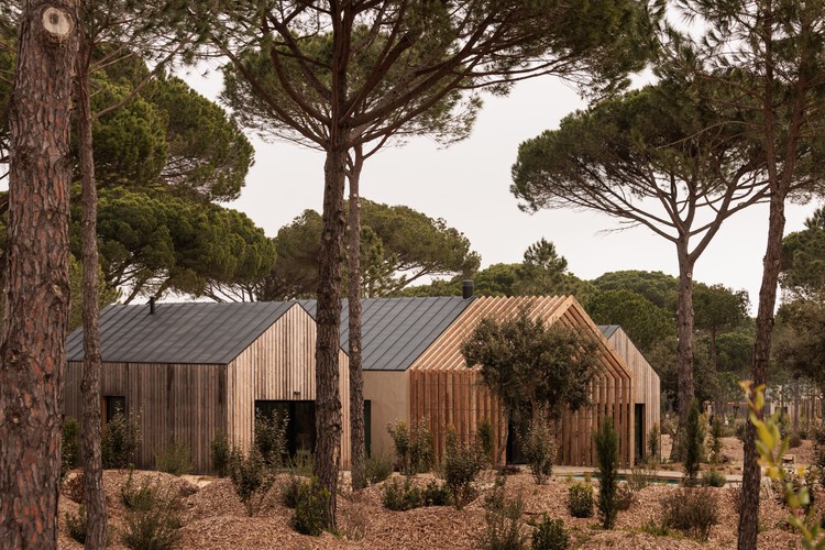 Sublime Comporta Sand / Fragmentos - Exterior Photography
