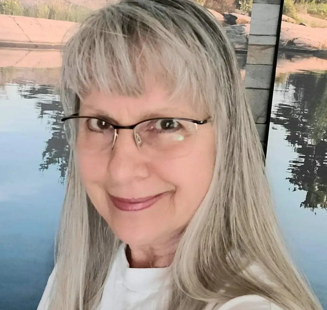 Orillia author publishes pandemic diary chronicling COVID-19