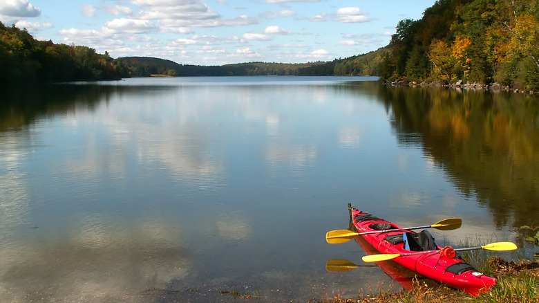 Red kayak at water's edge, surrounded by trees in Gatineau Park in Ottawa, Canada