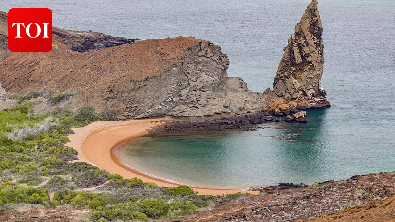The Galápagos archipelago, where a decade-long conservation effort spanning over 500,000 hectares became one of the largest island restoration projects ever attempted. Image Credits: Wikimedia Commons