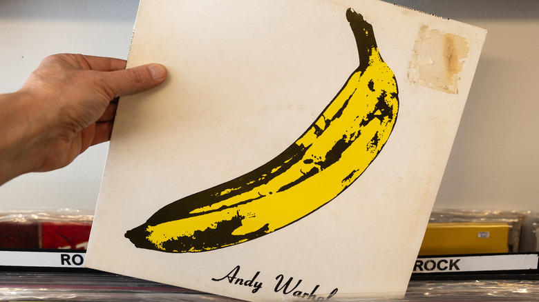 Someone pulling a vinyl copy of Velvet Underground & Nico album out of a crate at a record store.