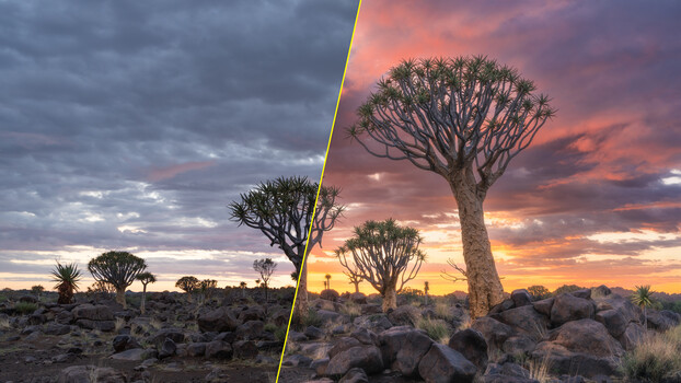 Dramatic Landscapes: Master Sunrise Light in 2026