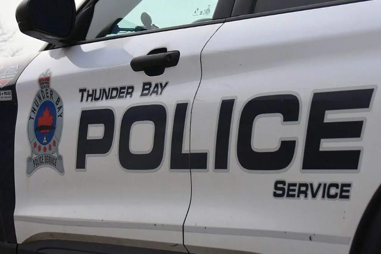 thunder bay police officer charged