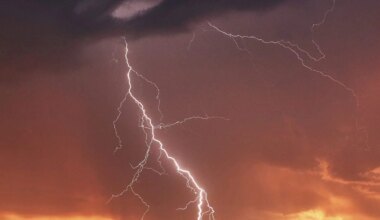 'Torrential downpours' with thunderstorms possible in southern Ontario