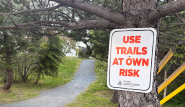 Increased Police Presence in Mount Pearl Following Trail Robbery