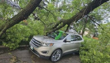 Thousands without power in southern Manitoba after storm causes ‘chaos’ - Winnipeg