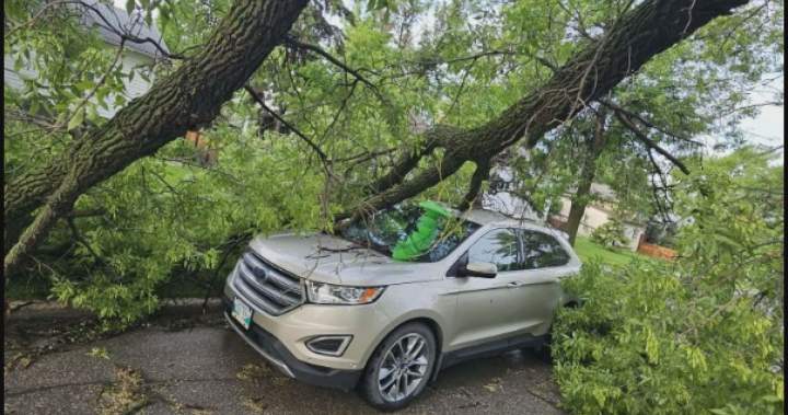 Thousands without power in southern Manitoba after storm causes ‘chaos’ - Winnipeg
