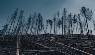 In 1908, something exploded above the remote Siberian forest of Tunguska with enough force to flatten roughly 2,000 square kilometres of trees — and more than a century later, no impact crater has ever been found, because the object, probably a small asteroid, appears to have blown itself apart in the atmosphere.