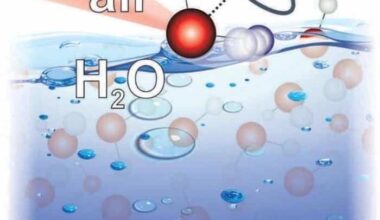 Interface between air and water gets a new twist – Physics World