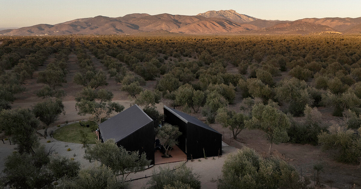 two corrugated metal volumes frame serentha cabin in mexico