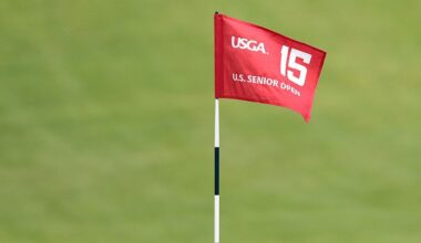 Amateur golfer hits hole-in-one one hole after truck confrontation on course