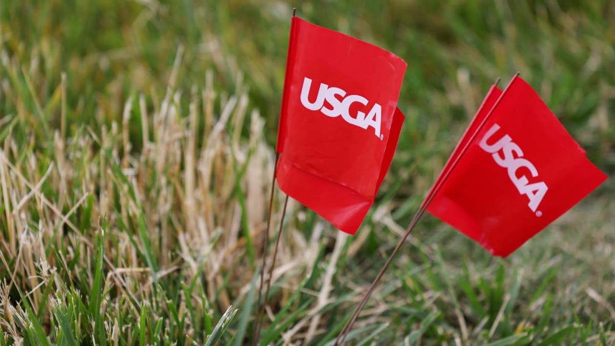 A detail of USGA marker flags