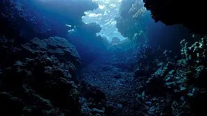 Chinese scientists explain formation of more than 40,000 undersea seamounts