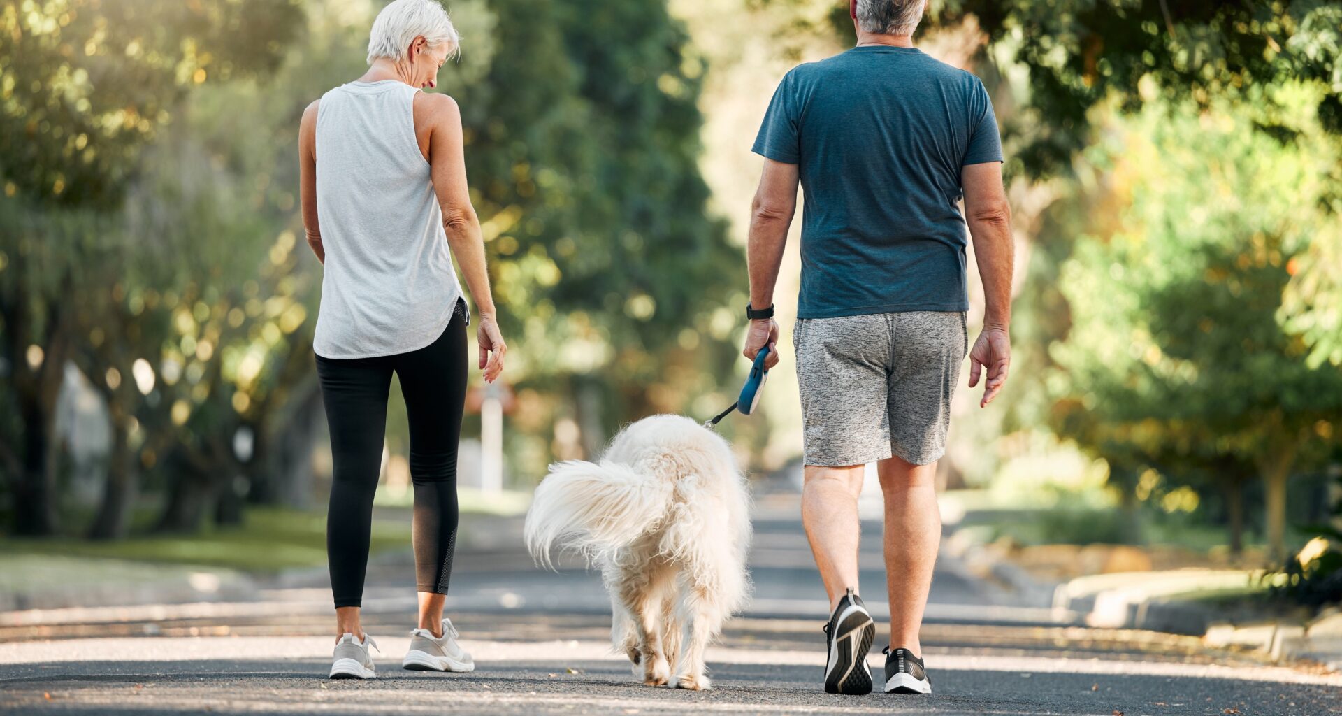 Senior man and woman walk in park with a dog between them.