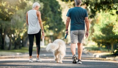 Senior man and woman walk in park with a dog between them.
