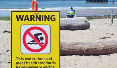Vancouver beach water quality: 4 spots you can't swim
