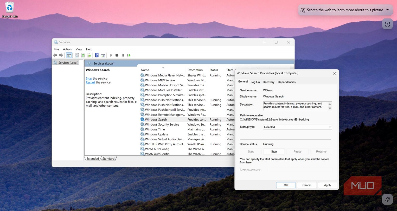 Windows Delivery Optimization options.