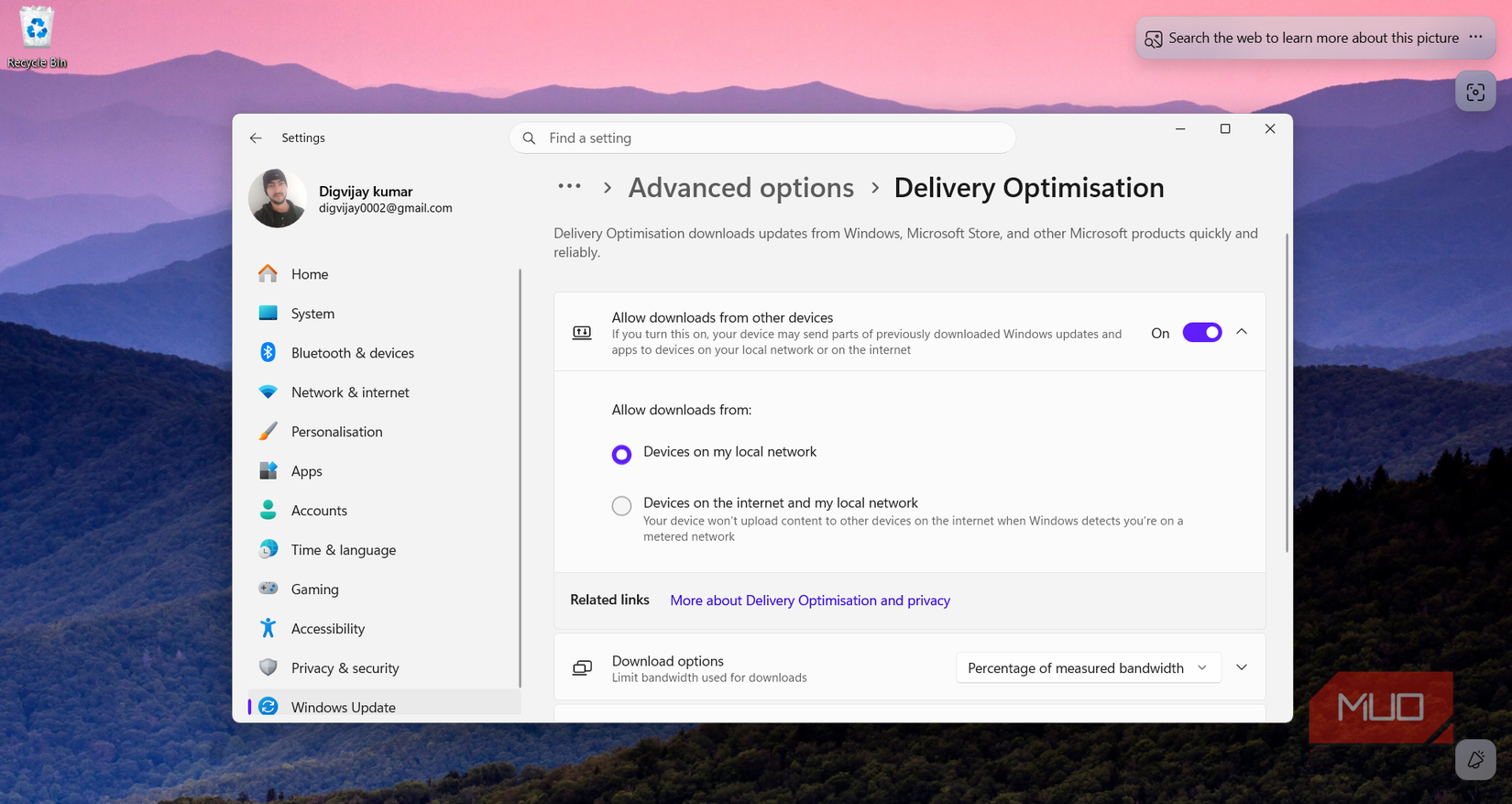 Windows Delivery Optimization options