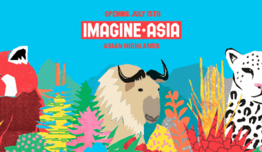 Imagine What’s Coming … July 15