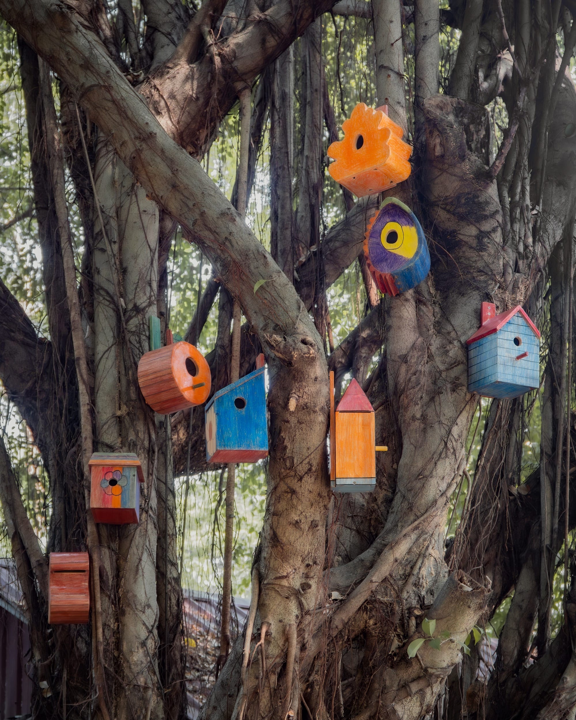 a series of colorful, whimsical birdhouses conceived by children and created by Taekhan Yun, installed in a tree