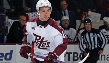 Novotny's compete level, speed intriguing ahead of 2026 NHL Draft