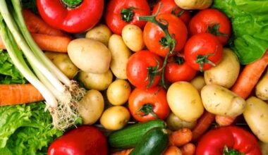 6 Foods That Enhance Memory as You Age