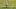 João Fonseca fell to Roman Safiullin in the third round at Wimbledon. João Fonseca fell to Roman Safiullin in the third round at Wimbledon.