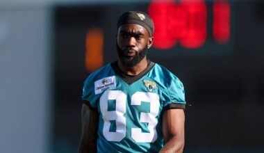 Another Dallas Cowboys Wide Receiver is Drawing Interest From a CFL Team