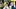 C.J. Gardner-Johnson C.J. Gardner-Johnson