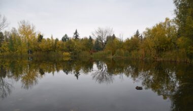 City of Grande Prairie provides update on Bear River chemical spill