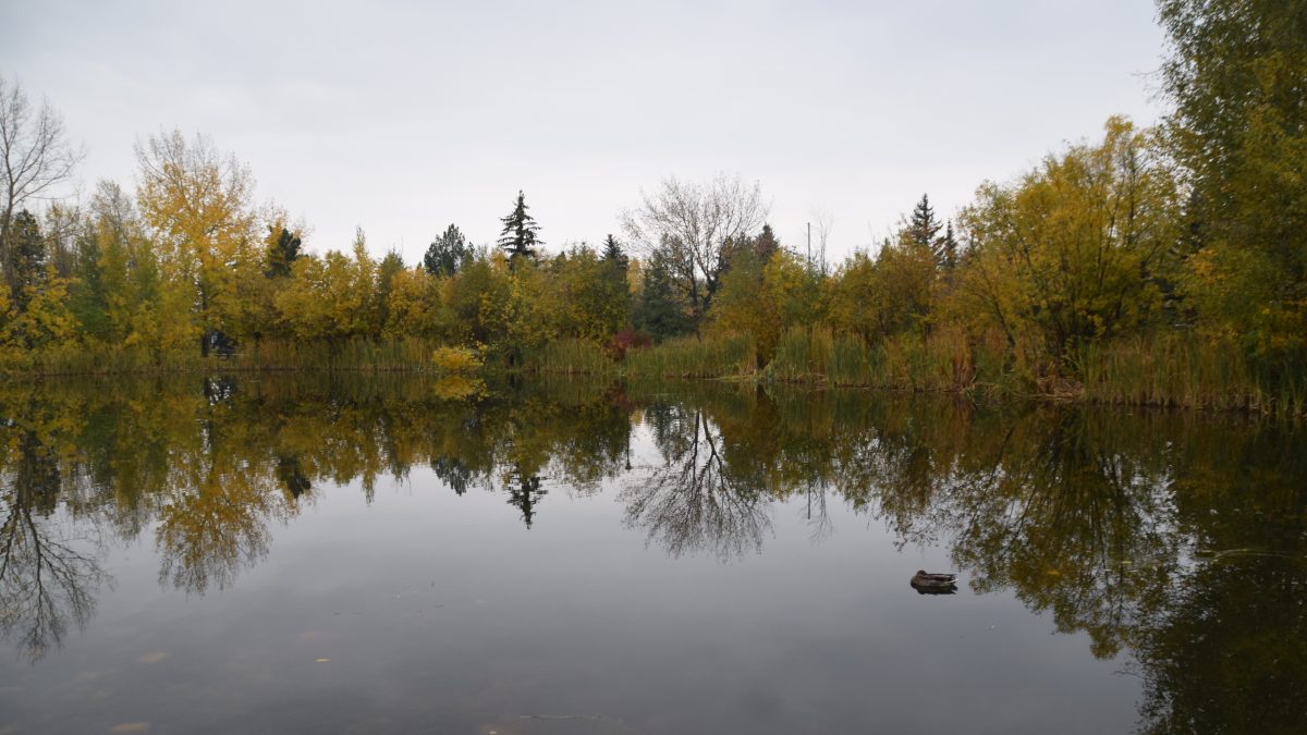 City of Grande Prairie provides update on Bear River chemical spill
