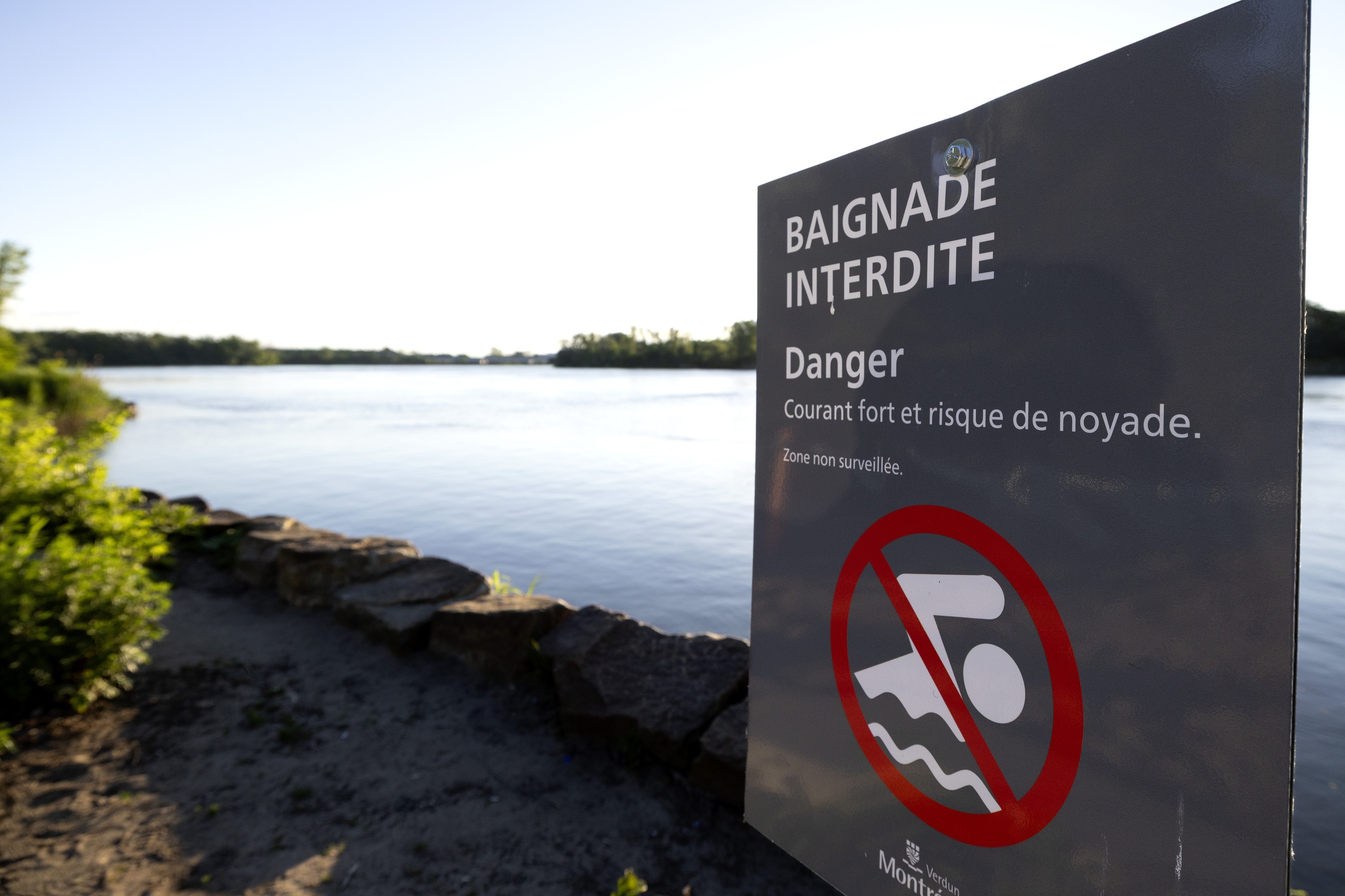 A sign posted at a shoreline warns people not to swim.