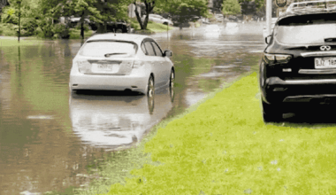 Proposed class actions target Montreal, D.D.O. over floods
