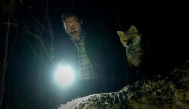 A man shines a flashlight as he stands next to an anthropomorphic fox, in a scene from the film The Fox