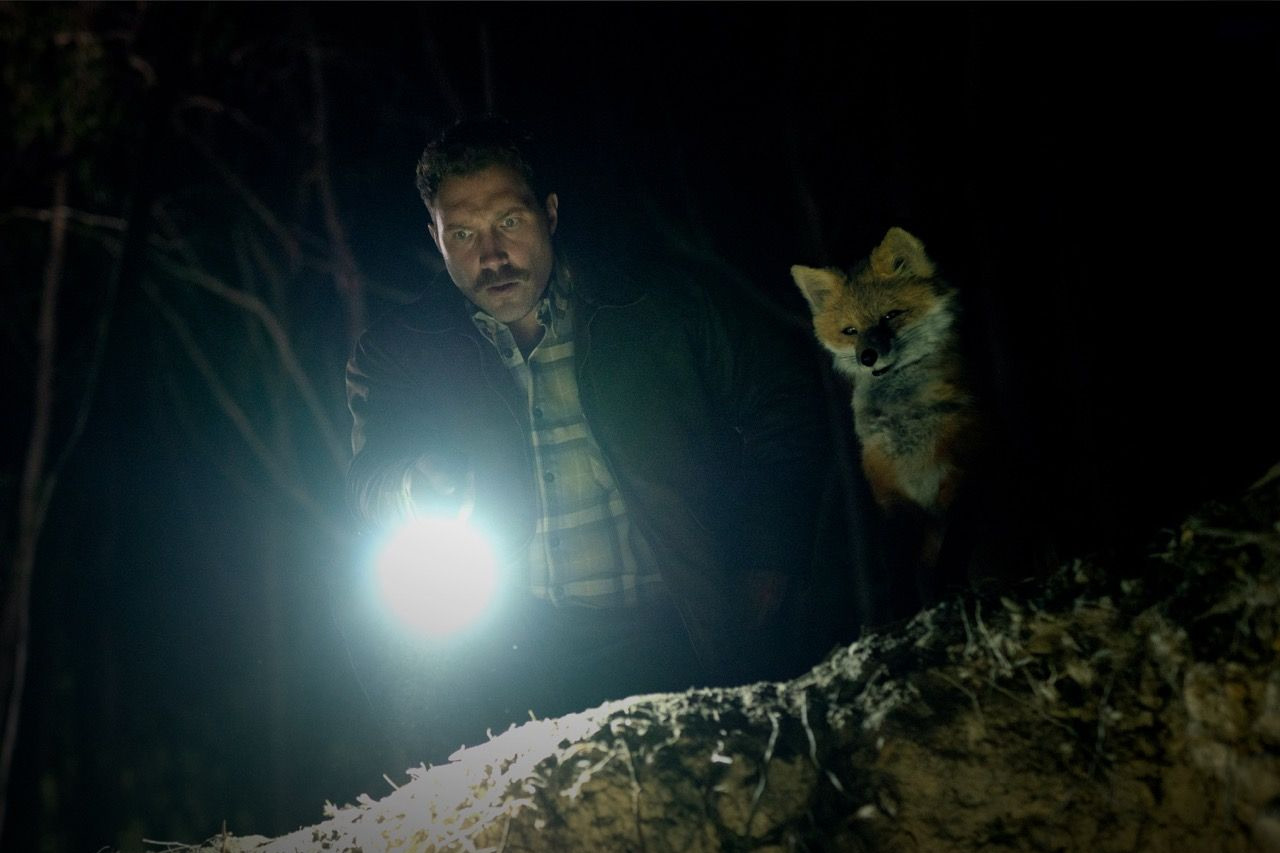 A man shines a flashlight as he stands next to an anthropomorphic fox, in a scene from the film The Fox