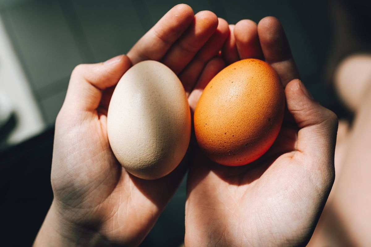 Hands holding two different colored eggs, representing variety and choice