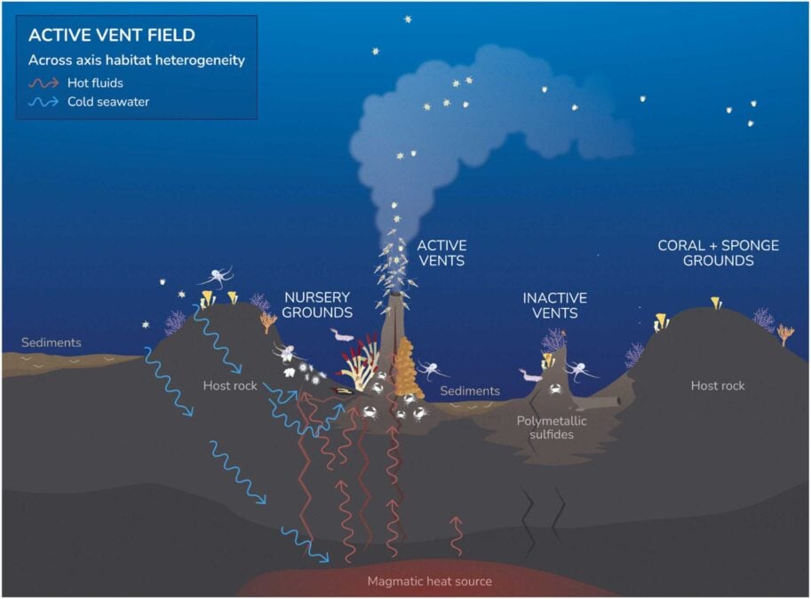 Scientists Found Invisible Gold Hiding in The Seafloor at Record-Breaking Concentrations