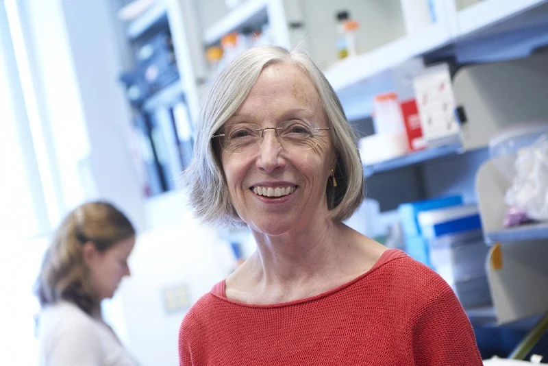Kathryn Anderson’s Final Study Reveals How WNT Signaling Shapes Cell Identity and May Inform Cancer Metastasis Research 2 Kathryn Anderson