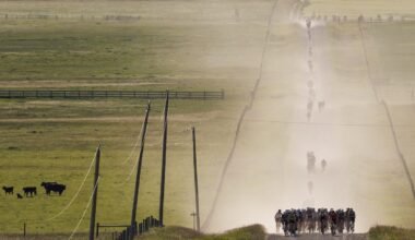 The Range delivers a dreamy day of Albertan gravel