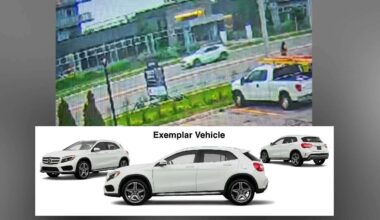 Police seek public's help after fatal hit-and-run in Mississauga
