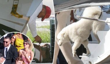 Taylor Swift and Travis Kelce's mystery dog makes big debut while touching down in Florida