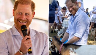Prince Harry reveals his multiple occupations in candid new interview