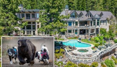 Lake Tahoe homeowners deploy new strategy against bear crisis