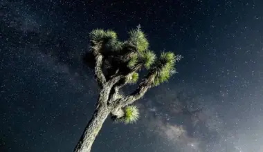 Natural Sugar Floating in Space Between Stars