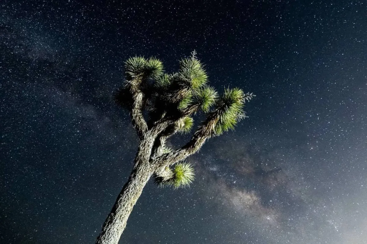 Natural Sugar Floating in Space Between Stars